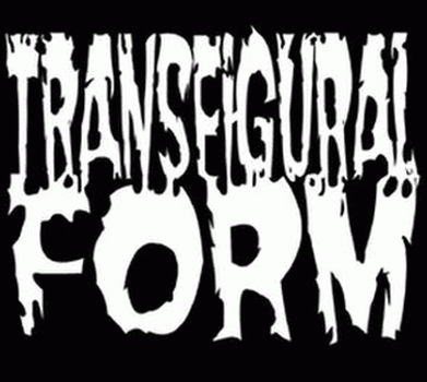 Transfigural Form : The Destructive Collection